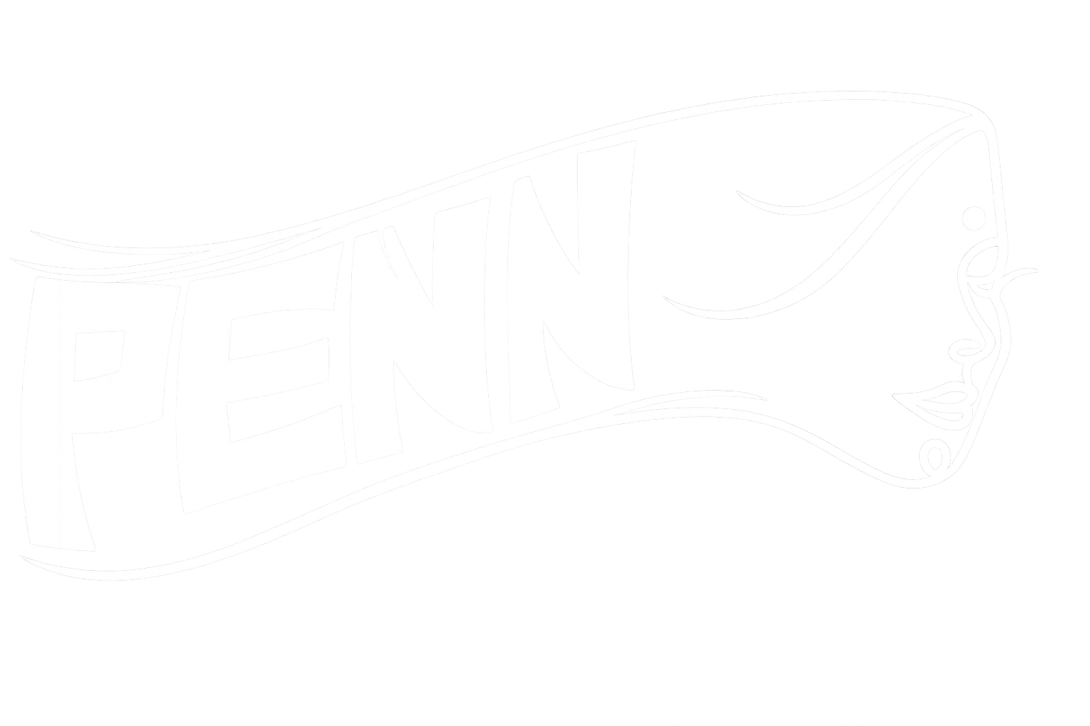 PENN — Protection and Empowerment of Naari